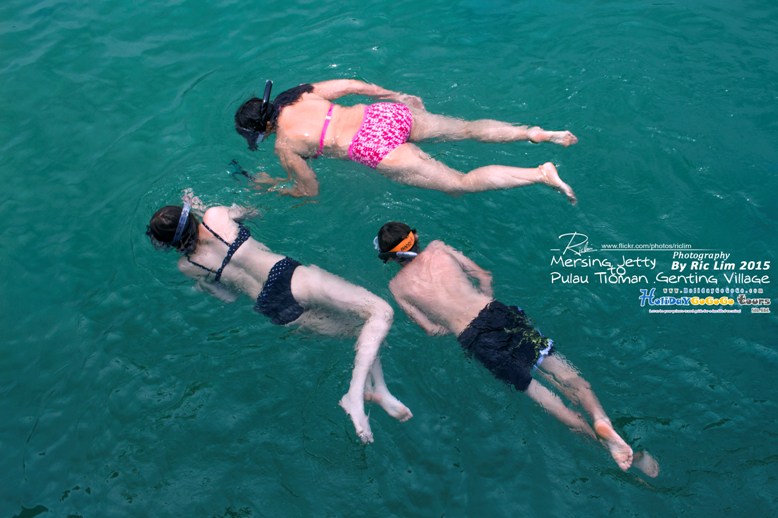 Snorkeling in Tioman Marine Park