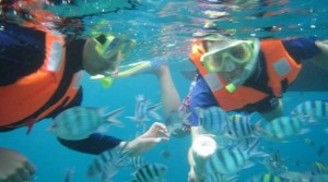 snorkeling in tioman island