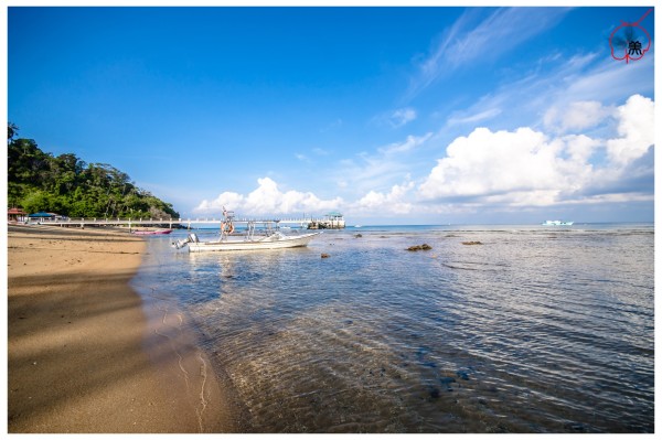 Paya Beach Resort Beach View 2