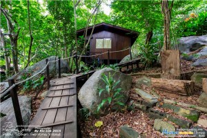 Jungle Trekking in Tioman