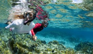 Tioman-Snorkeling-Tour