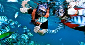 Salang Indah Resort Tioman Snorkeling Tour