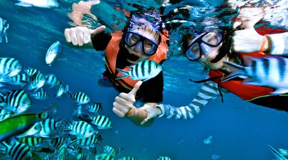 Salang Indah Resort Tioman Snorkeling Tour