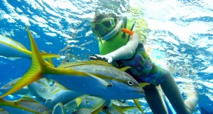 Tioman Snorkeling Tour