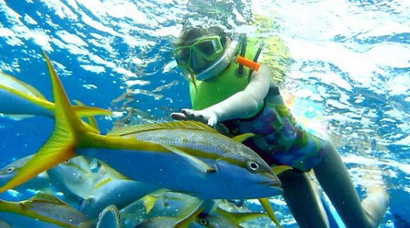 Tioman Snorkeling Tour