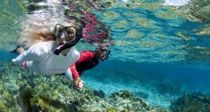 Tioman-Snorkeling-Tour