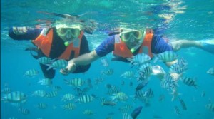 snorkeling in tioman island