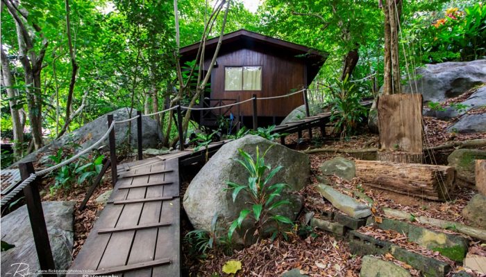 Jungle Trekking in Tioman