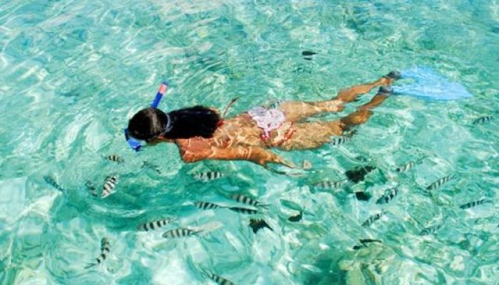 Salang Indah Resort Tioman Snorkeling Tour