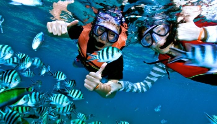 Salang Indah Resort Tioman Snorkeling Tour