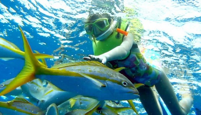 Tioman Snorkeling Tour