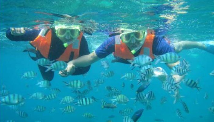 snorkeling in tioman island