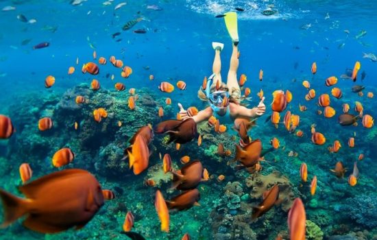 top-snorkeling-spots-in-malaysia (1)